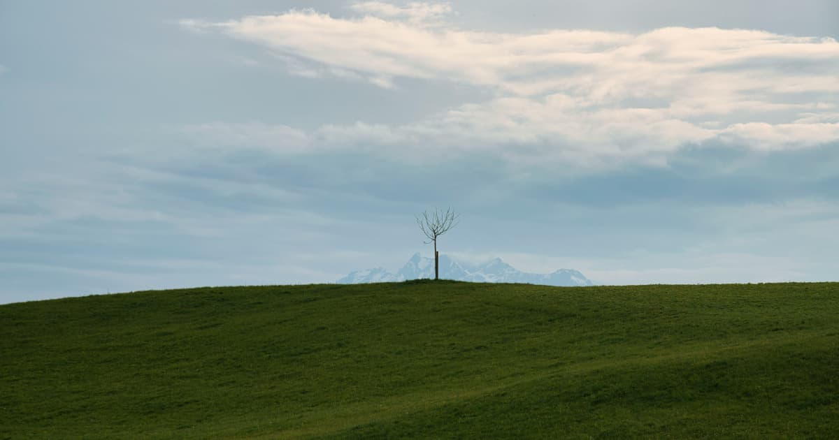 MAX Power Mining Advances Canada's First Natural Hydrogen Program Through Technical Collaboration